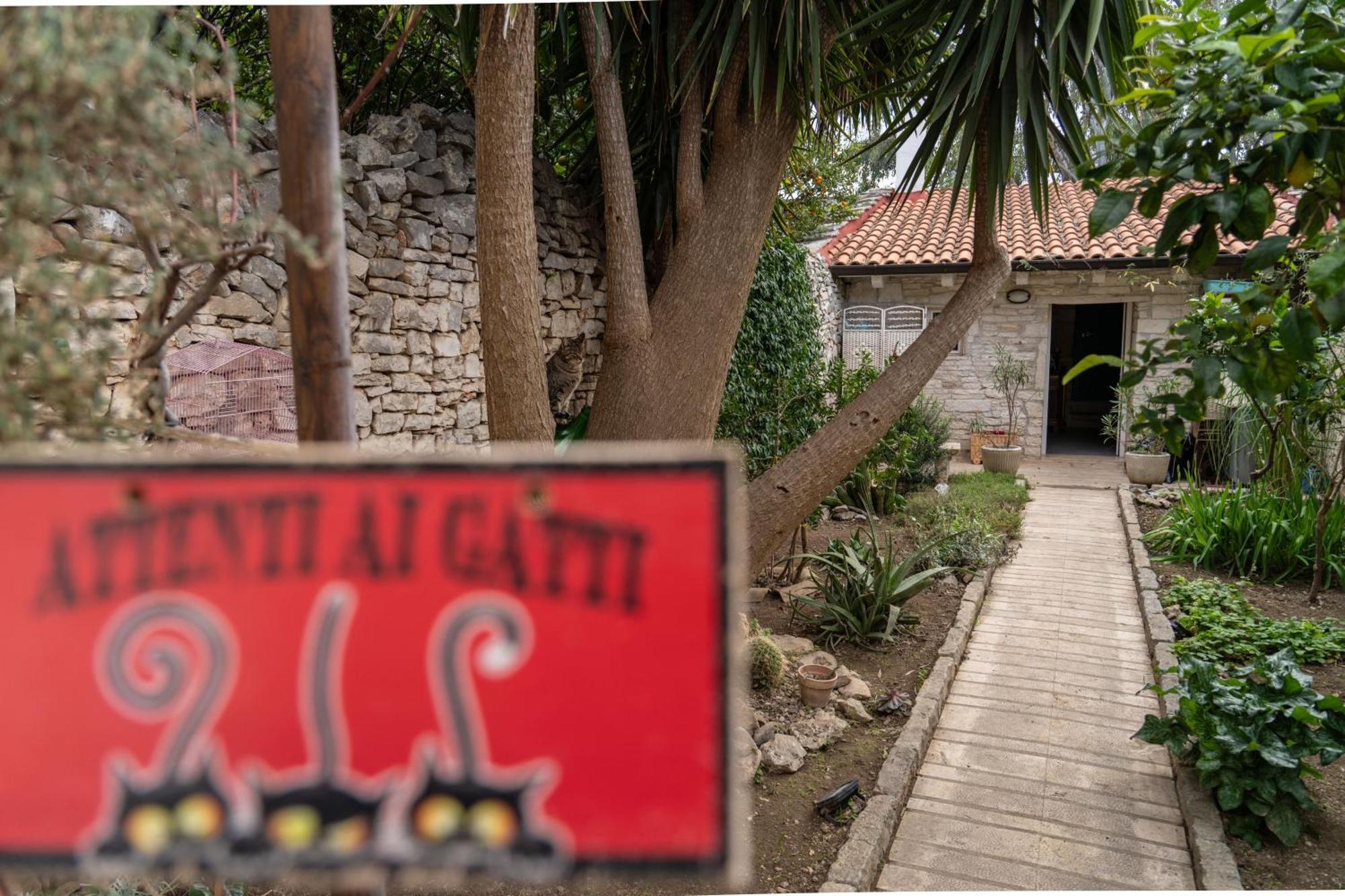 Casa Vacanze Alisei Terlizzi Ngoại thất bức ảnh